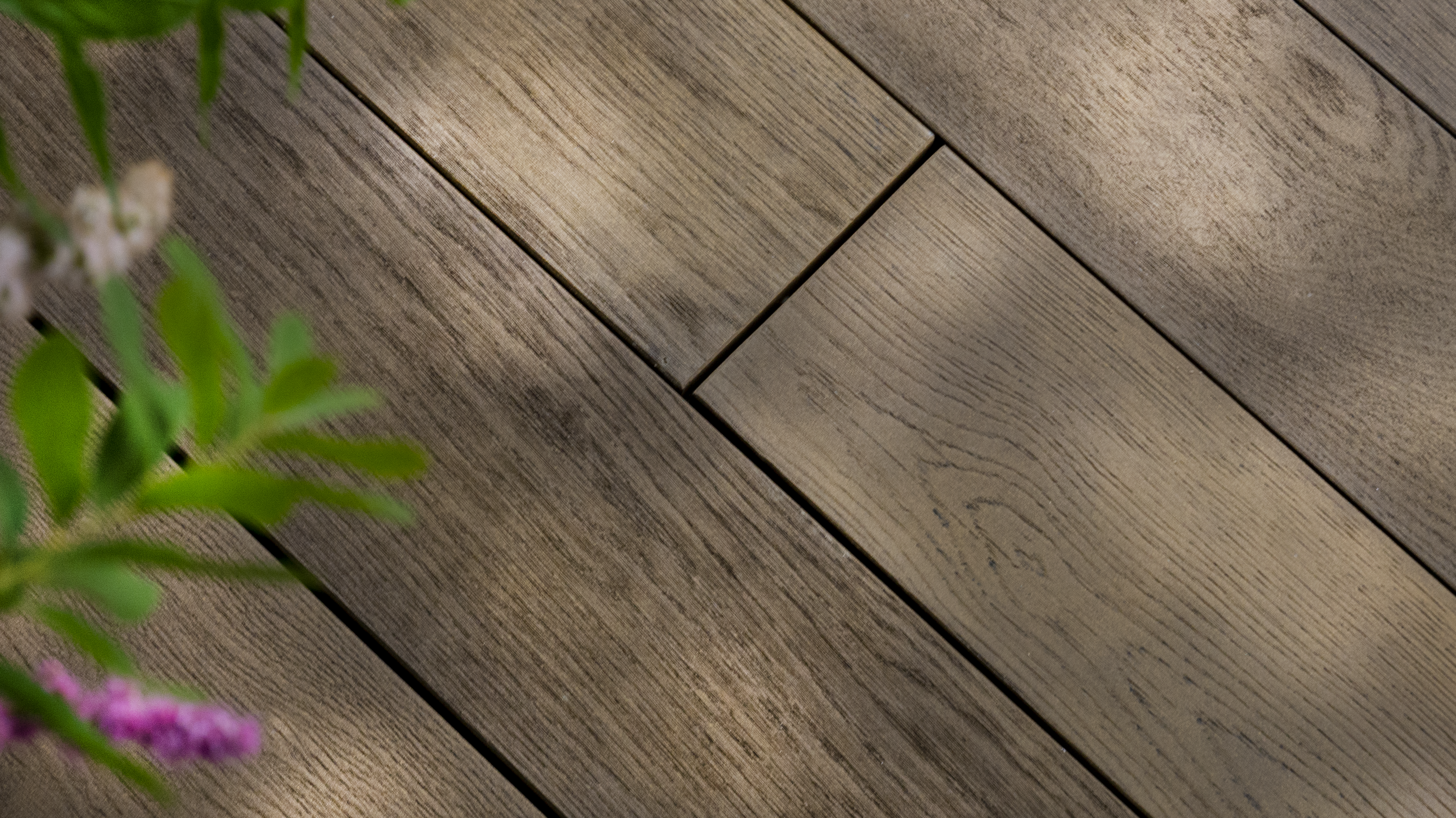 Antique_Oak_Decking_with_plant_image.tif